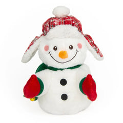 Holiday snowman