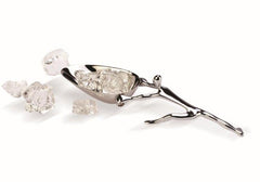 Ice scoop