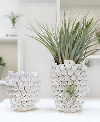 Anemone vase