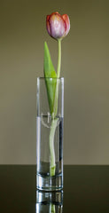 Etched crystal bud vase